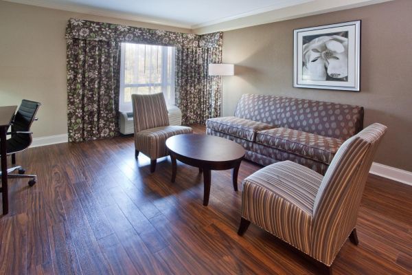 Holiday Inn MACON NORTH (Macon)